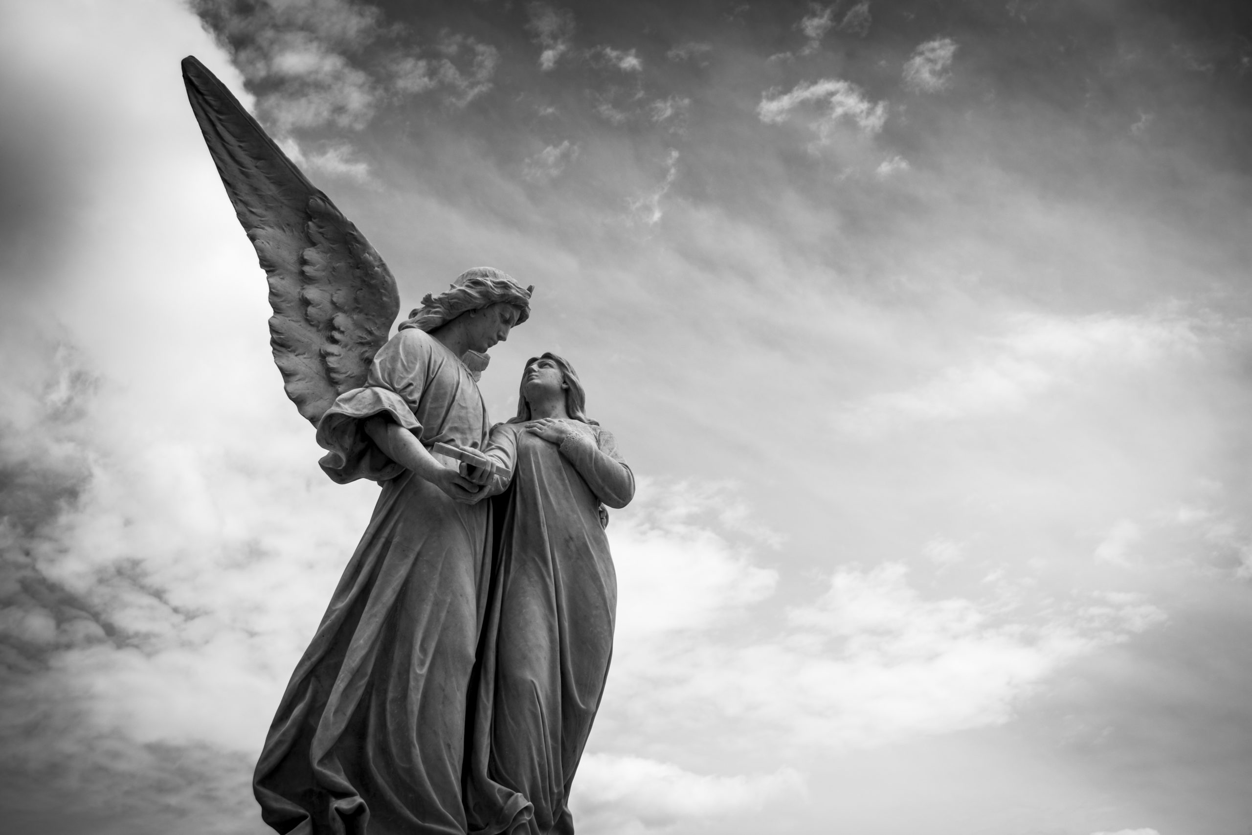 angels angels